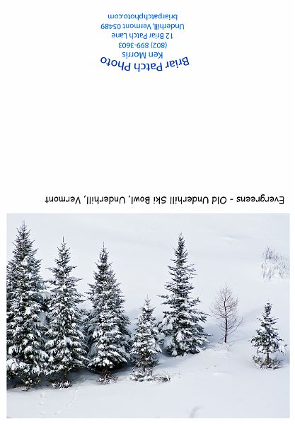 EvergreensUnderhillSkiBowl_DSC06355.jpg - Old Underhill Ski Bowl, Underhill, Vermont