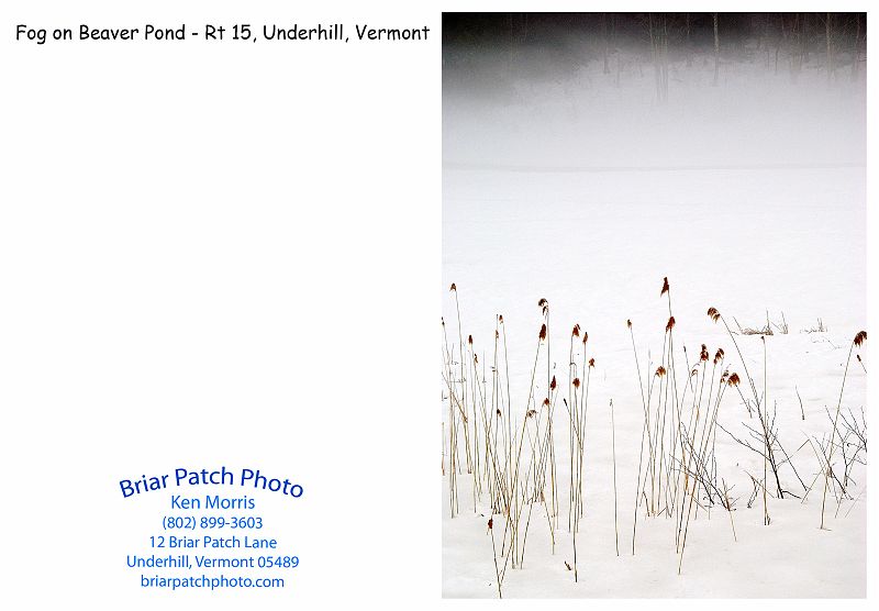 FogBeaverPond_DSC00229.jpg - Fog on Beaver Pond, off Route 15, Underhill, Vermont