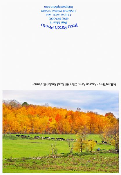 Milking_Time_Rawson_Farm.jpg - Milking time at the Rawson Farm, Cilley Hill Road, Underhill, Vermont