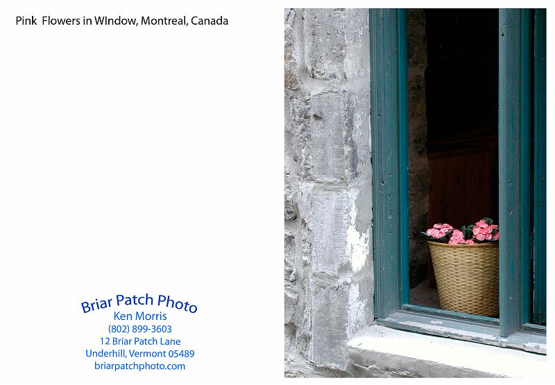 Pink_Flowers_Montreal_Window.jpg - Pink Flowers in Window, Old Montreal, Canada