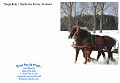 Horses_Sleigh_PI62