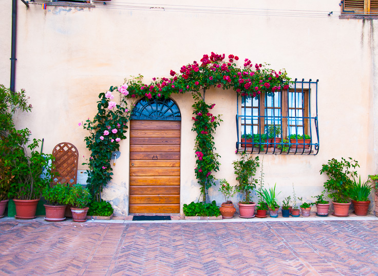 DoorRoses_DSC06198.jpg - #0141_Rose covered Door, Montepuliciano, Italy