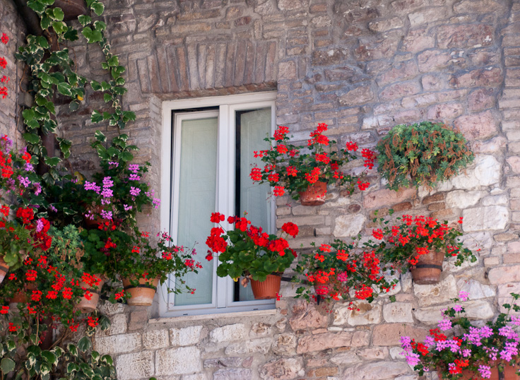Window_DSC06700.jpg - #0148_Window with many flowers, Assisi, Italy