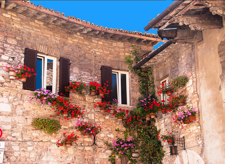 Windows_06699.jpg - #0164_Windows with Red Geraniums, Asasi, Italy