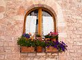 Window_DSC06781