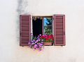 Window_DSC07186