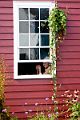 Window_woman_DSC00407