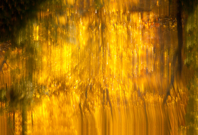 Fall_Streaks_01169.jpg - "Movement in Fall Color" - Fall foliage back lite with the sun and then added camera movement.