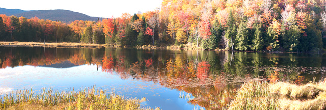Pano_00850_long_pond.jpg - "Belvidere Pond" - Sometimes called Long Pond, Belvidere, VT.
