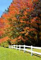 Fall_White_Fence_2847