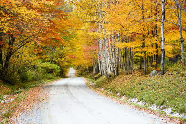 Quiet Country Road Shrewsbury, Vermont.jpg