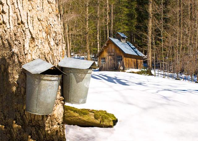 Sargent Sugar House 7254 Underhill, Vermont.jpg