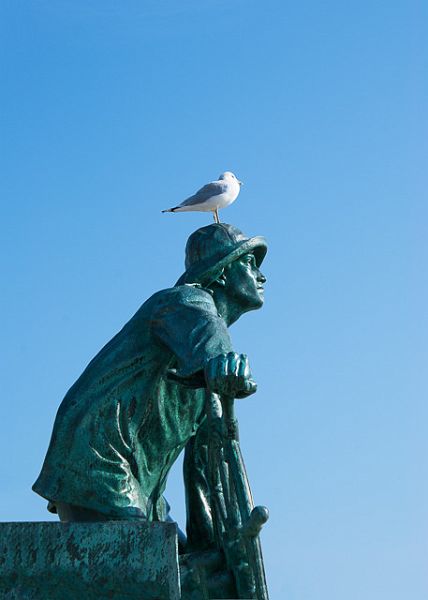 Seagull and Sailor, Gloucester, MA.jpg