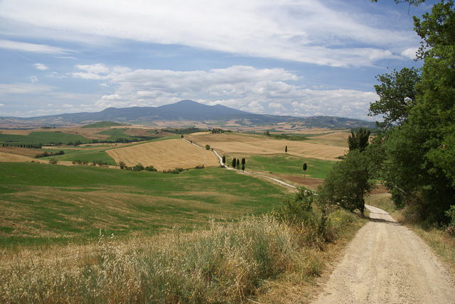 Tuscan Path 6519 Pienza, Italy.jpg