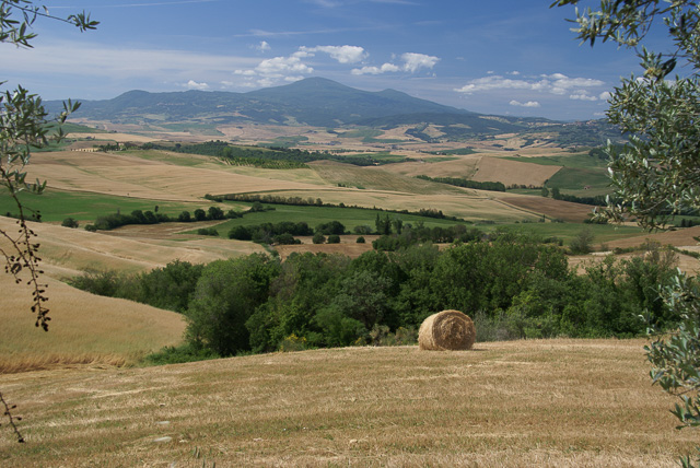 Tuscan Wheat Fields 6304 Pienza, Italy.jpg