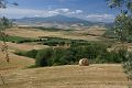 Tuscan Wheat Fields 6304 Pienza, Italy