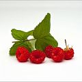 Raspberries_DSC9928