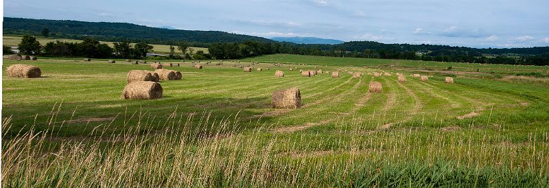 Hay_Field_Vergennes_0346.jpg - #0332_Hay field just off Vermont Rt22A just south of Vergennes, Vermont.