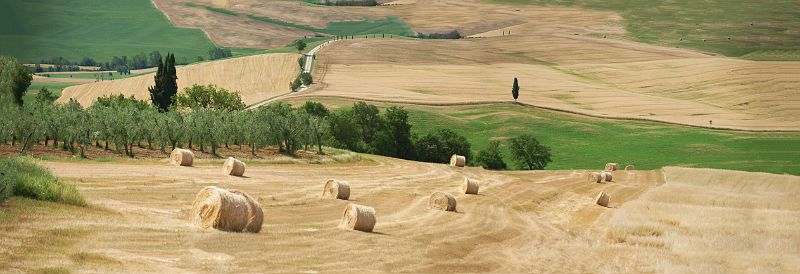 Tuscan Wheat Fields, Pienza, Italy.jpg