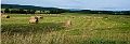 Hay_Field_Vergennes_0346