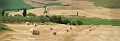 Tuscan Wheat Fields, Pienza, Italy