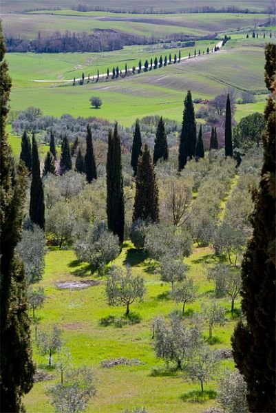 Pienza_DSC04024.jpg - #0224_Pienza, Italy.