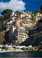 Manarola_DSC06556