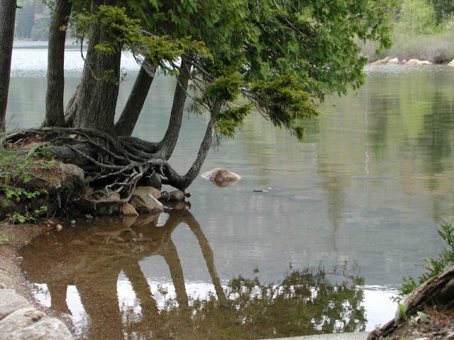 Acadia-pond-w.JPG - #0257_Jordan Pond, Acadia National Park, Maine