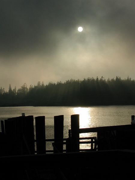 BassHarbor-w.JPG - #0260_Harbor Fog:  Bass Harbor in Acadia National Park, Maine provided the location for this sunset peeking through the dense fog near the ferry dock.  At first glance this appears to be a black and white photograph until you look closely and see the colors in the fog caused by the setting sun.