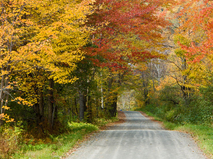 EngSettleRdPICT4442-w.jpg - #0013_Road to Tomorrow - English Settlement Road in Underhill, Vermont.