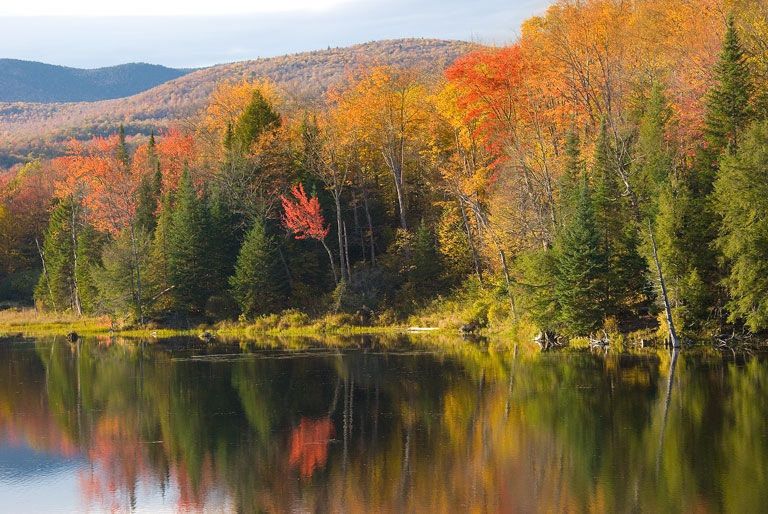 LongPond_DSC04673.jpg - #0172_Long Pond in Fall, Belvidere Corners, Vermont.