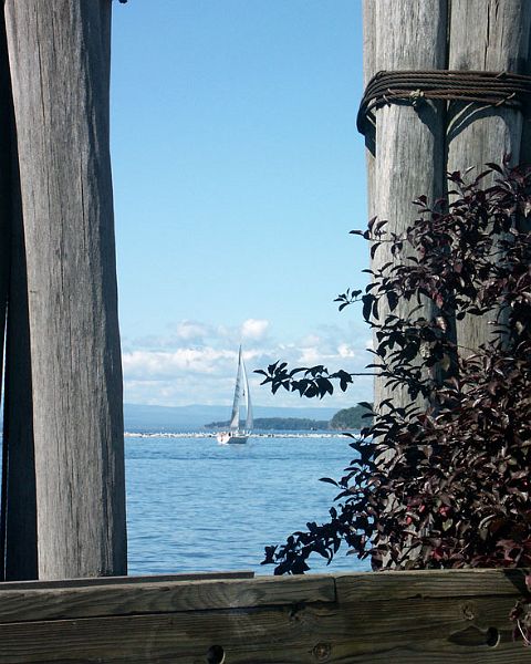 SailboatLakeChampPICT1947.jpg - #0184_Sailboat on Lake Champlain PICT1947:  Taken from the ferry dock in Burlington.
