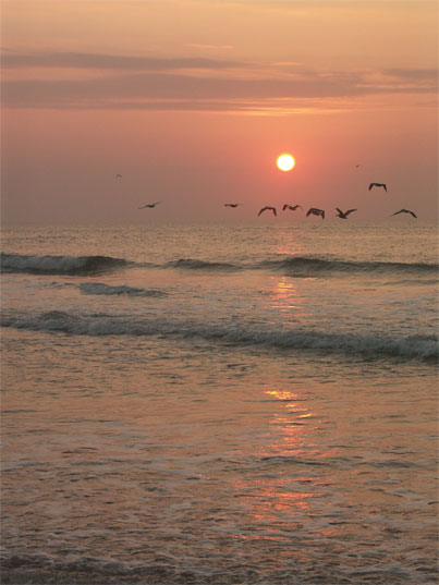 SunRise-PICT1331-web.jpg - #0262_Pelicans at dawn-2 - Outer Banks, Ocracoke, North Carolina
