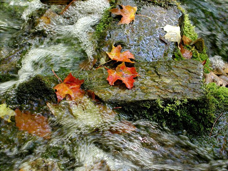 Leaves-water-bubbles-w.jpg - #0022_Babbling brook in Fall, Smuggler's Notch road on the Stowe, Vermont side.