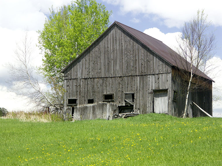 SpringBarn_PICT6615.jpg - #0035_Spring Barn 6615:  Barn and dandelions on Pleasant Valley Road, Cambridge, Vermont.