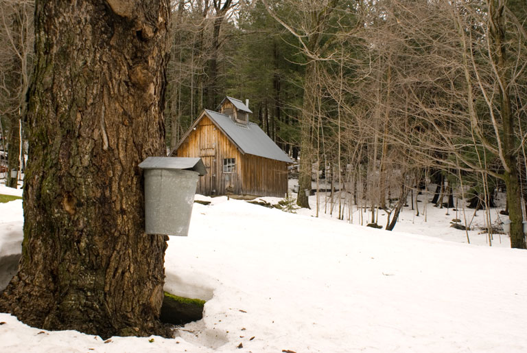 SugarHouseDSC00304-B-w.jpg - #0040_Sap Bucket and Sugar House:  Bob Sargent's sugar bush in Underhill, Vermont, Spring 2007.